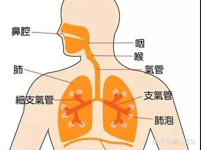 肺癌 白痰_白痰肺癌_肺癌的白痰是啥样的