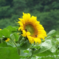 河南久优文化传媒有限公司_河南友久软件有限公司_友久软件科技有限公司