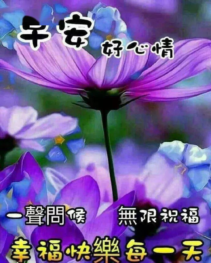 安卓los下载安装_安卓lol手游转苹果_loic安卓
