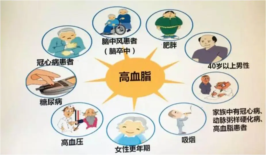 护理血脂计划高怎么办_高血脂护理问题及护理措施大全_高血脂的护理计划