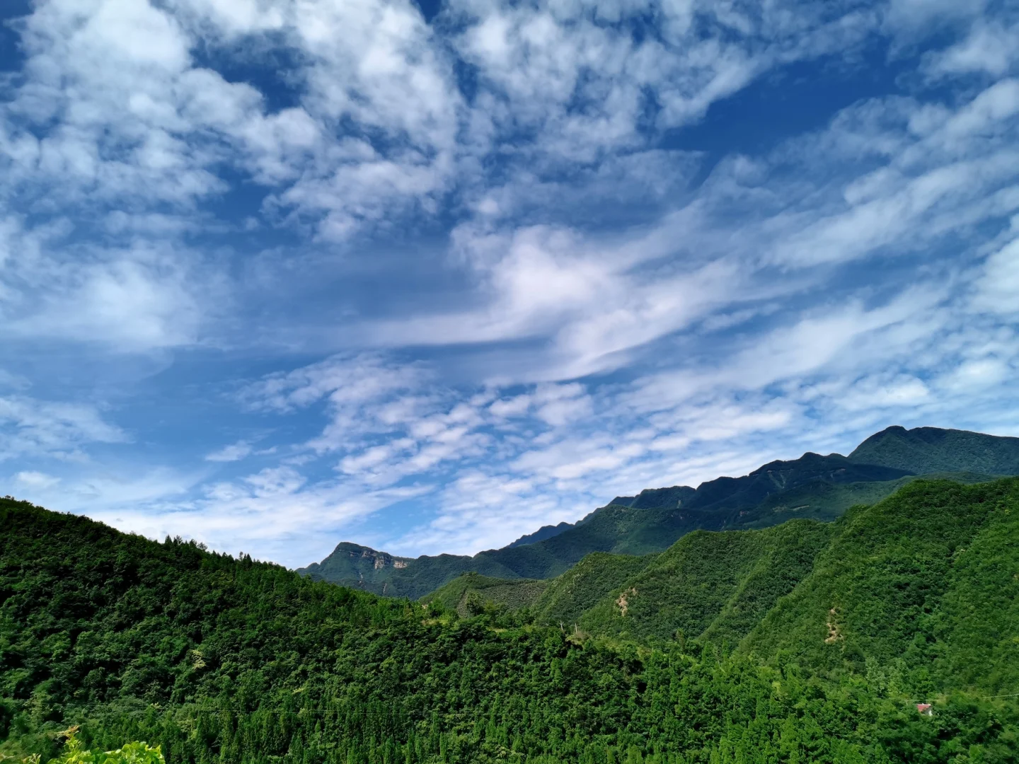 欧派凡帝尼木门_欧派凡帝尼_欧派尼斯