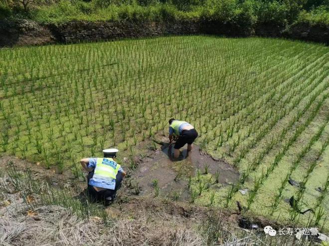 稻田医院路口有监控吗_路口监控稻田医院有监控吗_路口监控方案