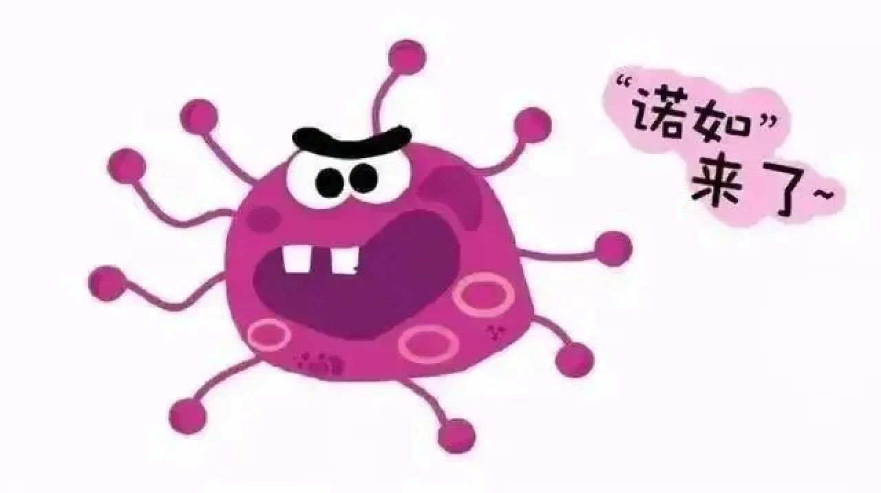 iwannawanna_decrypt病毒_wanna decrypt病毒
