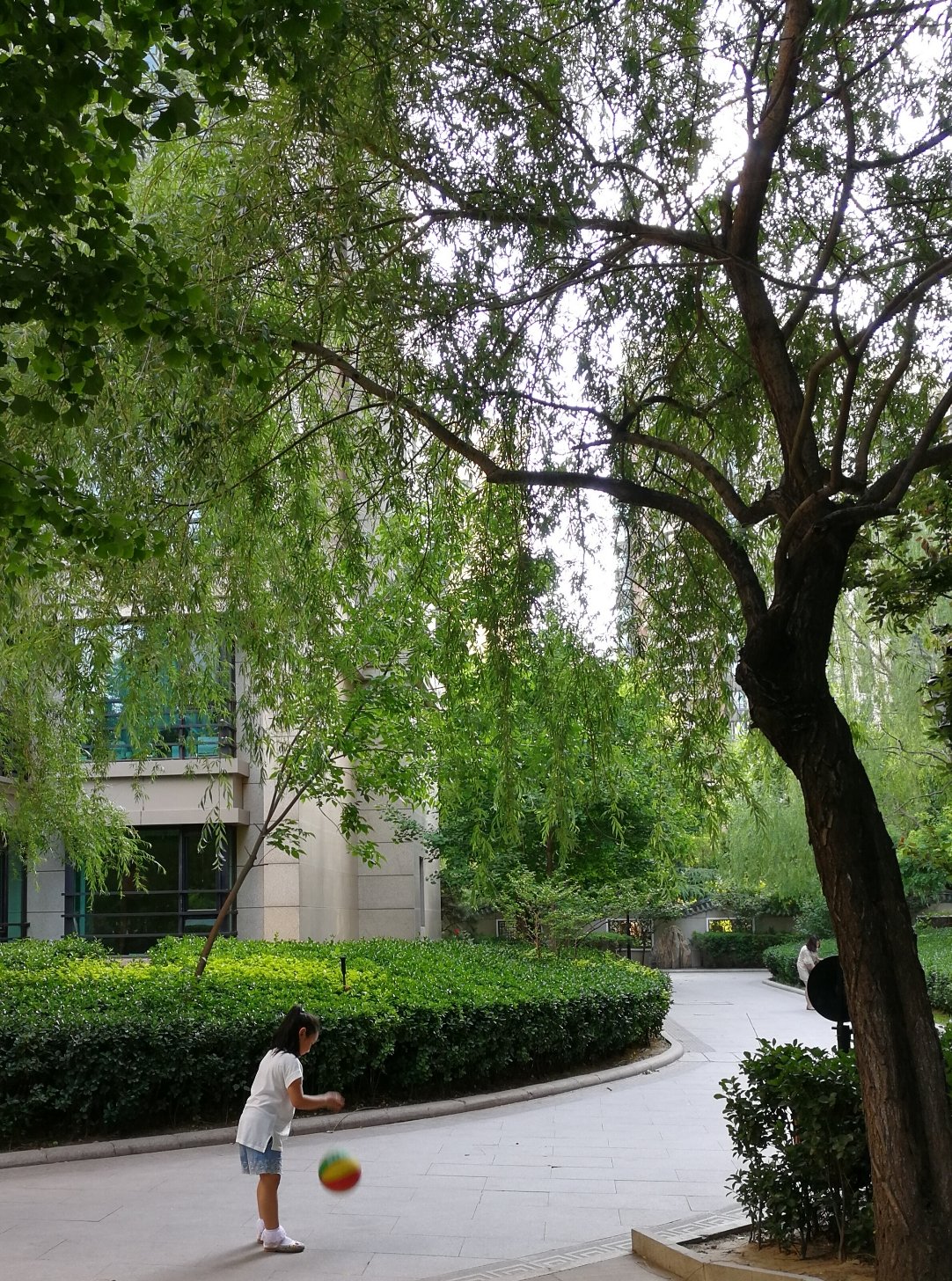 朝阳双桥法院法官名单电话_朝阳法院电话85998双桥_北京市朝阳区双桥法庭