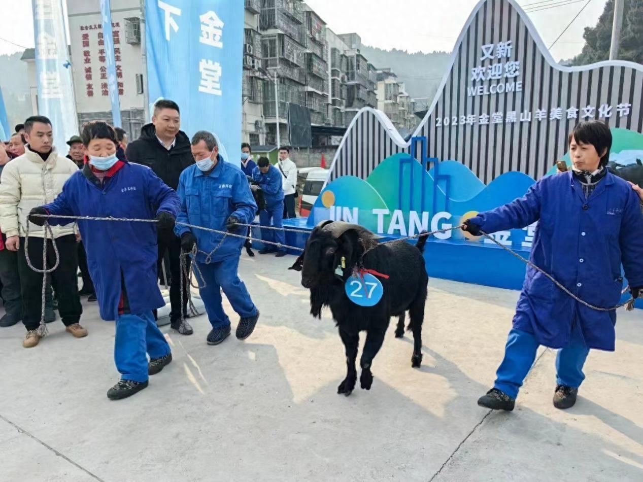 大型养羊基地殖场图片_基地养羊大中国人能养吗_中国最大的养羊基地