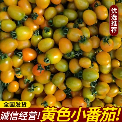 济南天天向上团购_济南团购网导航_济南本地团购