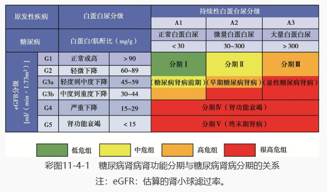 糖尿病合并肾病的护理查房_糖尿病合并肾病的护理_糖尿病肾病护理疑难病例讨论