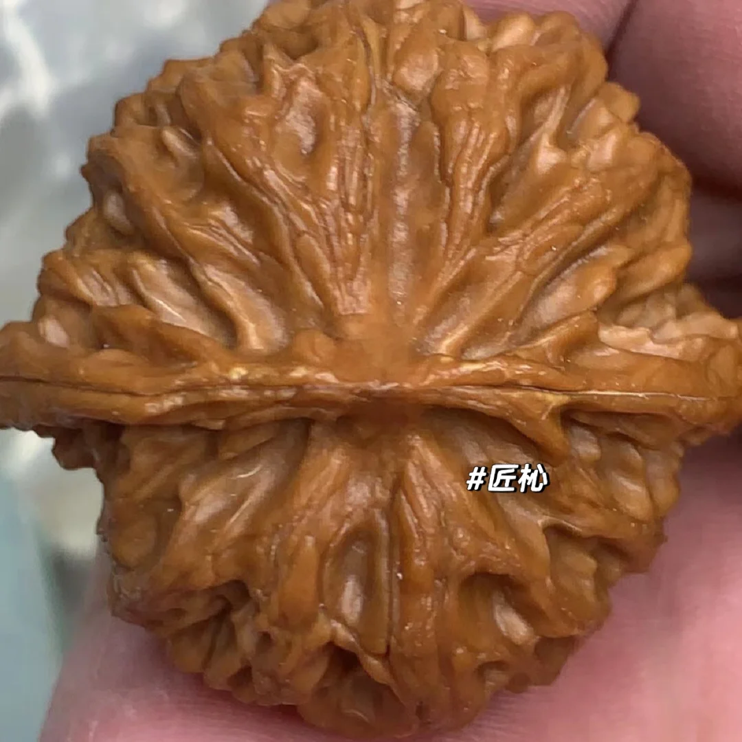 苹果手机视频误删恢复_苹果怎么恢复删除视频_iphone删除视频怎么恢复
