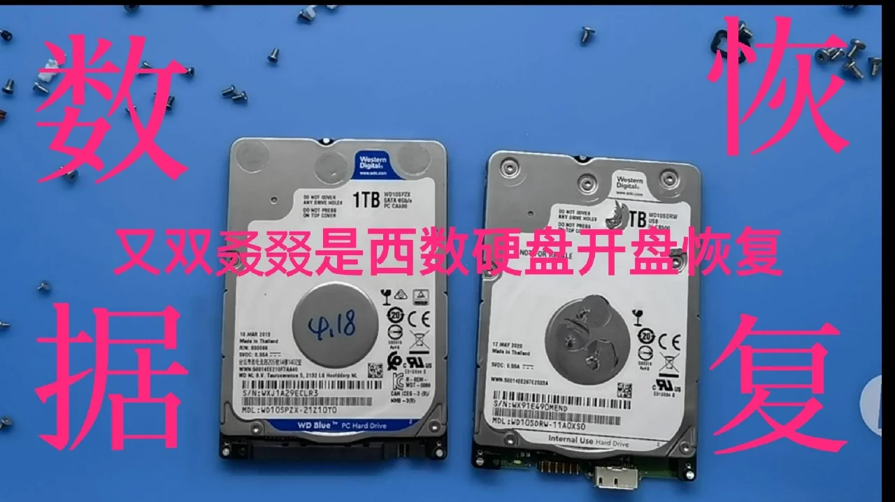 u盘恢复数据软件下载_u盘数据恢复软件推荐_u盘恢复数据软件那个好