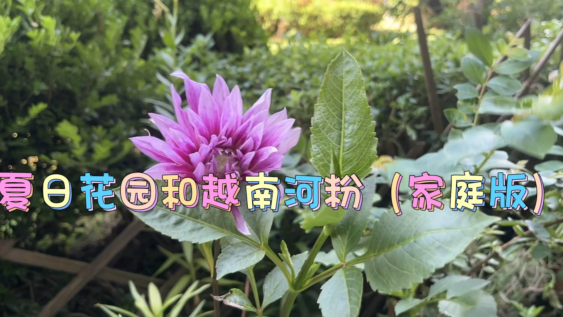 桌面工具小窗怎么设置_桌面工具小组件怎么弄_win8.1桌面小工具