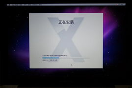 imac 双系统 分区,轻松实现Mac OS与Windows共存