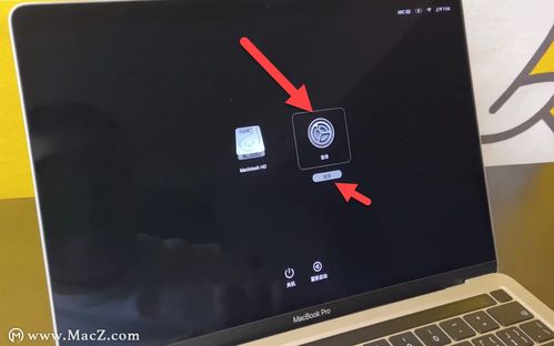 macbookpro系统重装,轻松恢复系统，提升性能