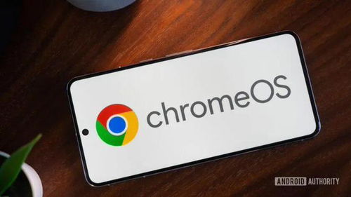 chromeos 是安卓系统吗,独立操作系统还是安卓的衍生？