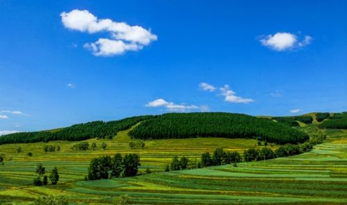 张北草原攻略系统和安卓,安卓平台上的移动旅游助手