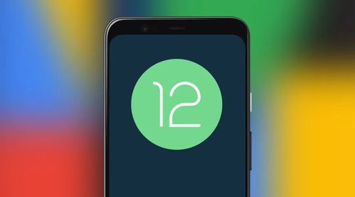 安卓系统有12的吗,揭秘安卓12的革新与突破