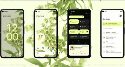 安卓12系统详情在哪里,功能亮点与系统更新概览