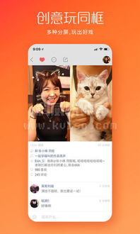 手机安卓系统快手app,功能解析与使用指南