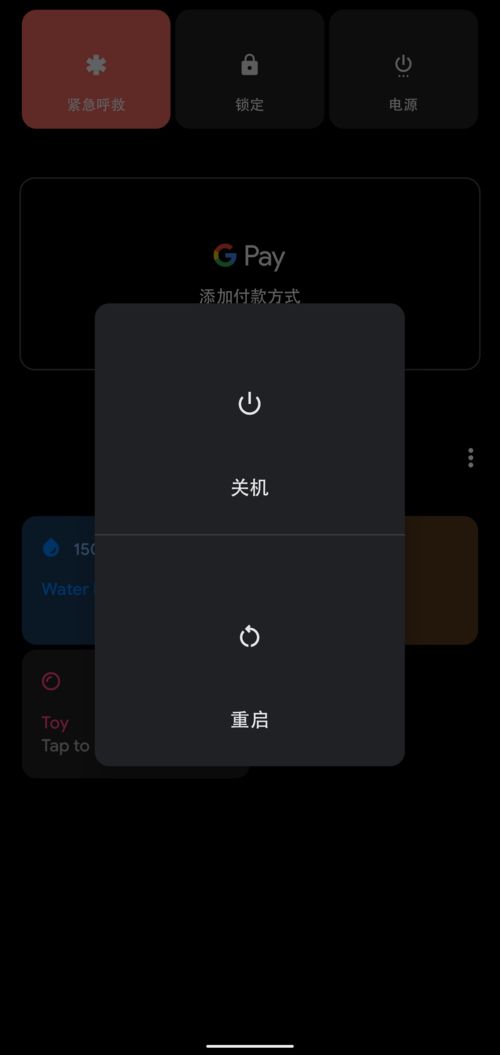 安卓系统11云养猫,体验虚拟萌宠乐趣