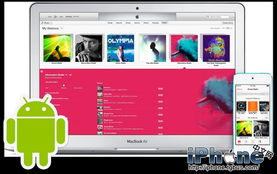 安卓系统itunes,一站式音乐管理新体验