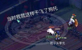 混沌西游(游戏托特权) 