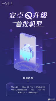 华为还会用安卓q系统吗,展望与探讨