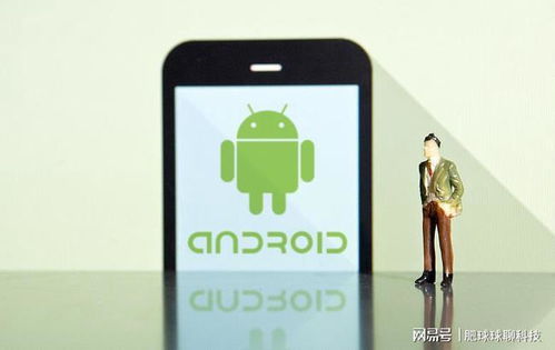 手机识别学生证安卓系统,安卓系统轻松实现身份验证新体验