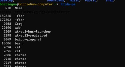 hook安卓系统,揭秘系统漏洞与安全防护之道