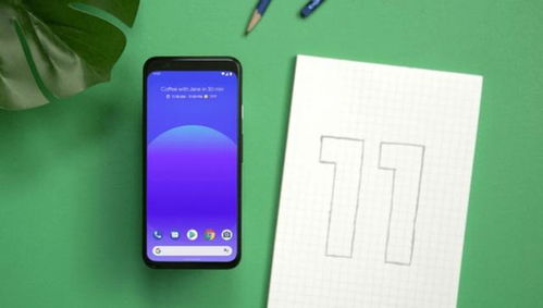 安卓系统测试版哪个好玩,盘点最引人入胜的趣味体验